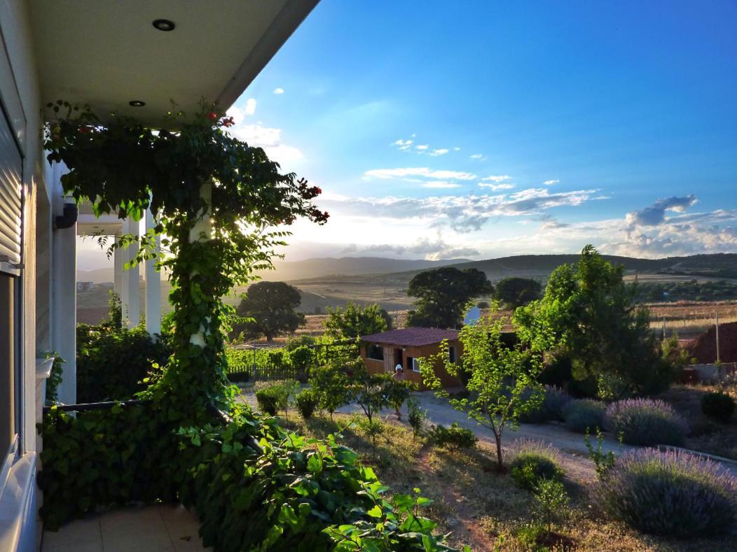 Vineyard Country House With Panoramic Seaview Alexandroupoli Exterior foto
